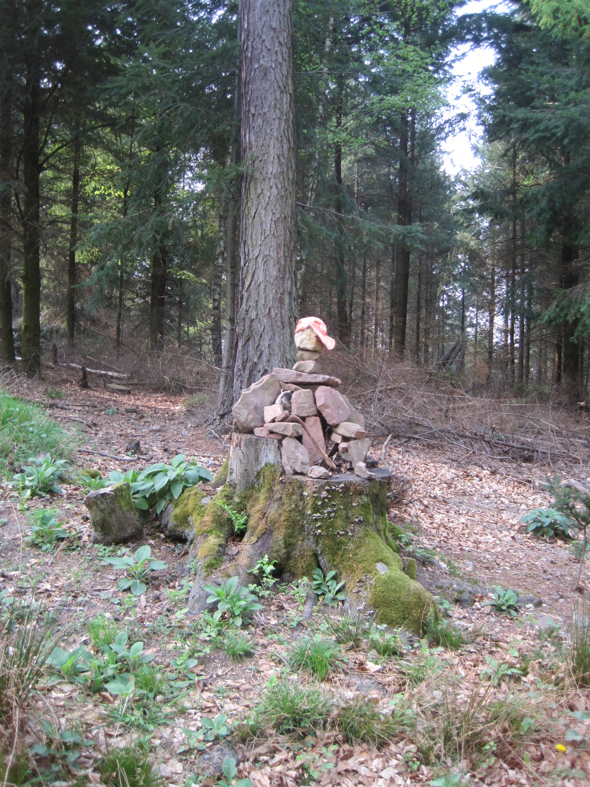 Heidelberger Geschichtsverein